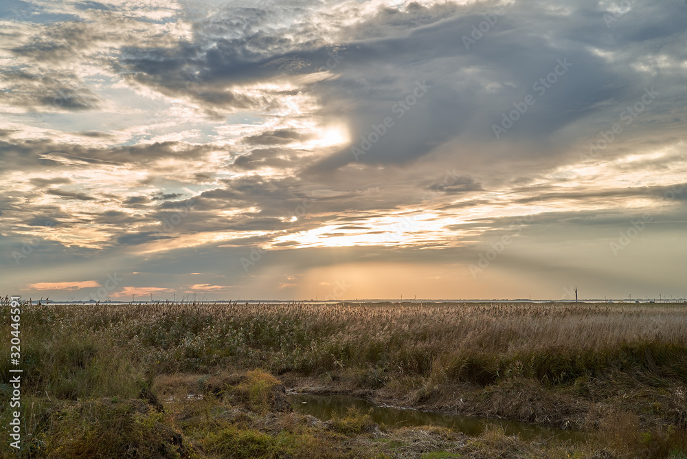 scenic sunset with mystic clouds over the salt marshes in Sehestedt, community Butjadingen, district Wesermarsch (Germany)