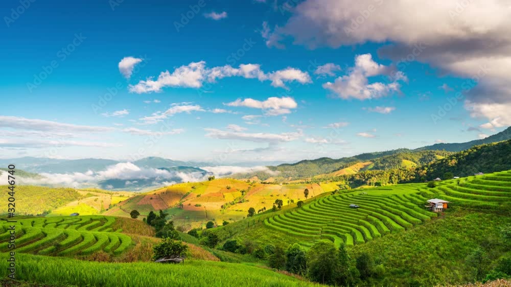 Rice field terrace on background mountain with scenery clouds and blue sky at sunrise. 4K Time lapse Rice field terrace on background mountain with scenery clouds and blue sky at sunrise. 4K Time lapse