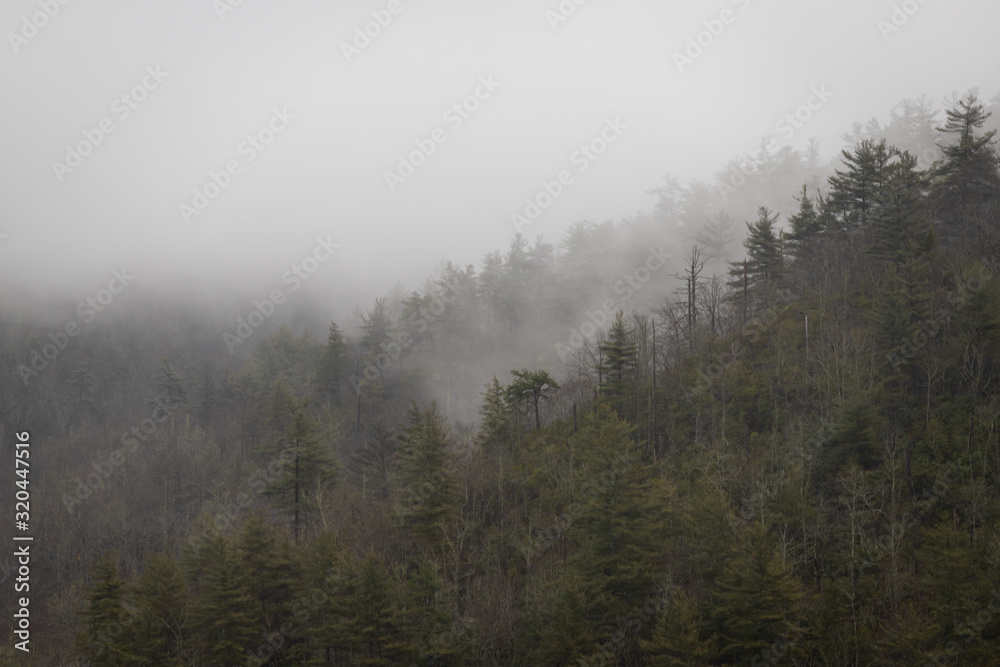 Foggy Ridgeline in Linville Gorge