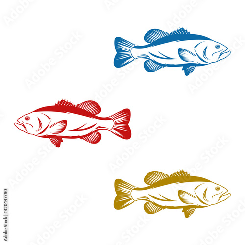 Fish Tilapia Set Colorful Silhouette Illustration Icon Logo Design Template Element Vector