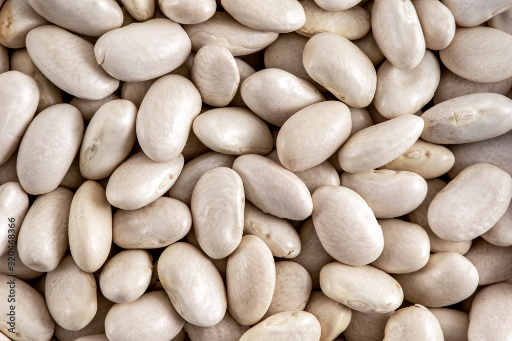 Haricot beans close-up shot. Common white beans. Food backgrounds. Haricot beans close-up shot. Common white beans. Food backgrounds.