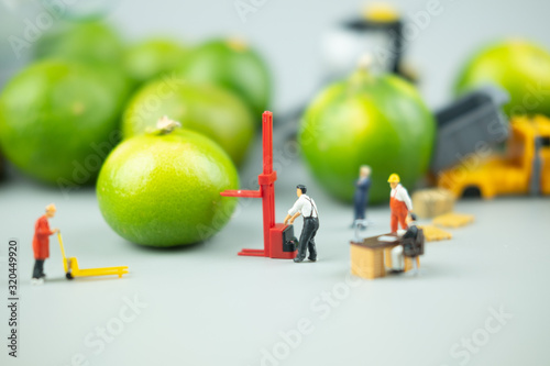 Miniature people workers moving fresh green lime fruit for export agriculture