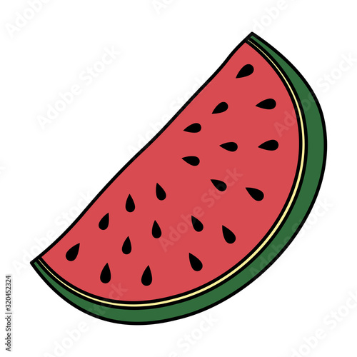 fresh watermelon fruit isolated icon