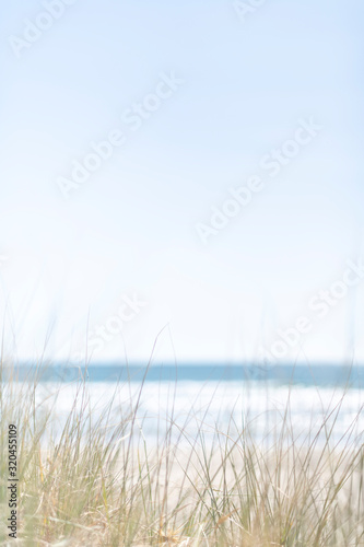View over beach grasses to ocean on a warm summer day with a cloudless blue sky above 