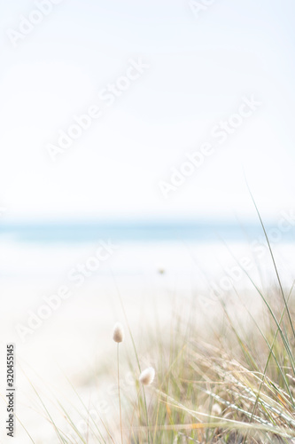 View over beach grasses to ocean on a summer day with a pale blue sky beyond