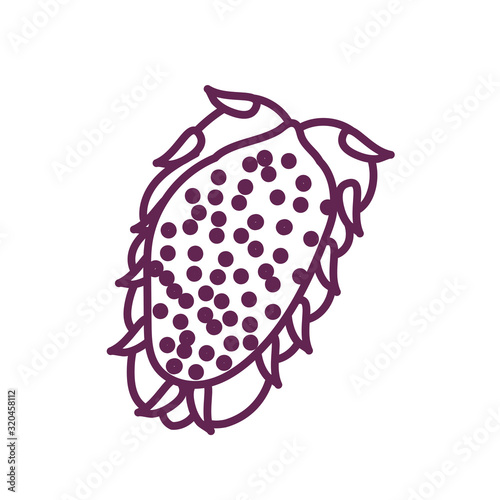fresh wild fruit isolated icon