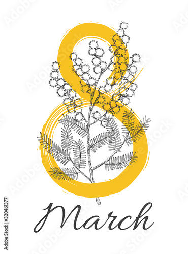 8 march womens day greeting card with hand drawn blooming mimosa or silver wattle flowers. Modern brush calligraphy.