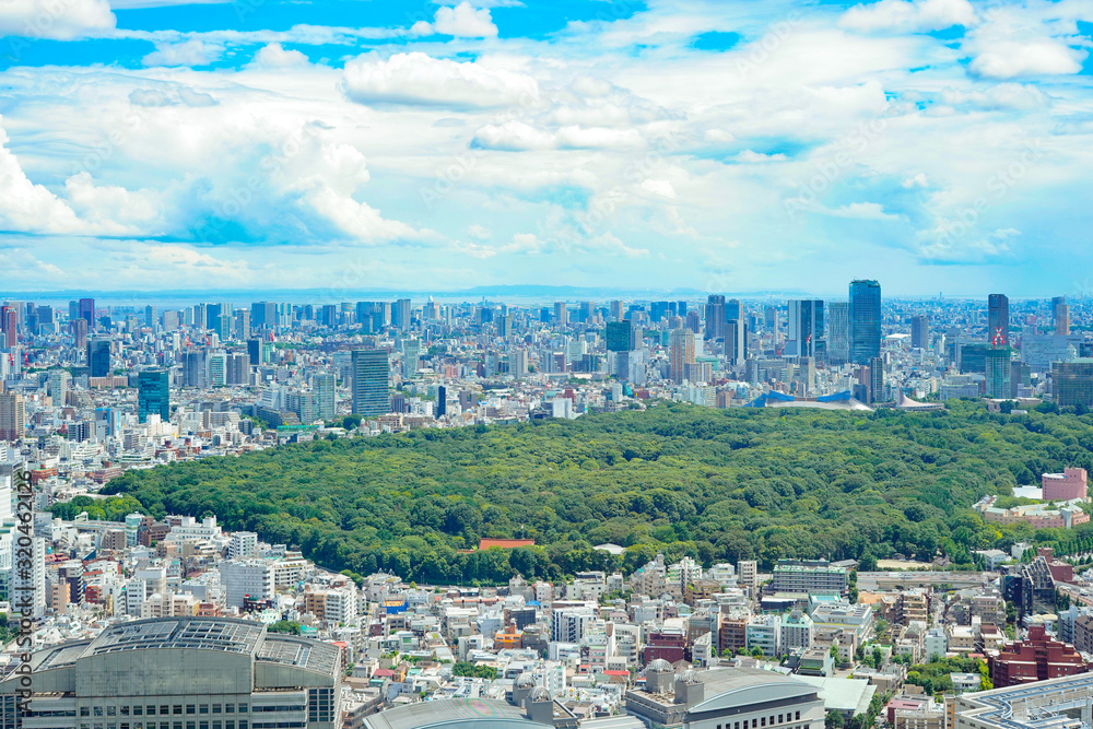 Fototapeta premium 明治神宮（日本、東京）
