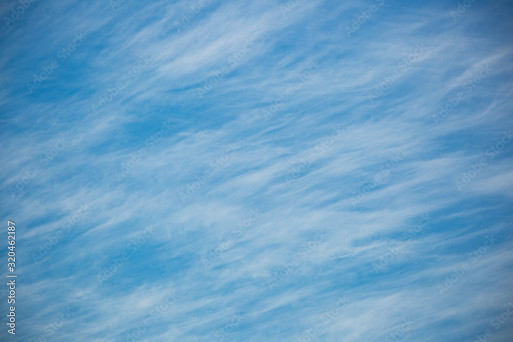 Fototapeta premium 筋雲（巻雲）