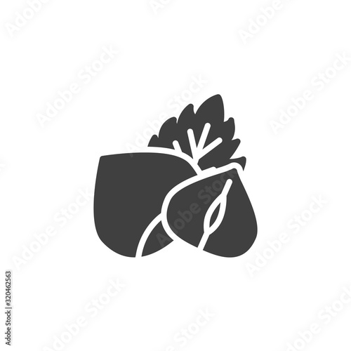 Hazelnut with leaf vector icon. filled flat sign for mobile concept and web design. Peeled hazelnut glyph icon. Symbol, logo illustration. Vector graphics