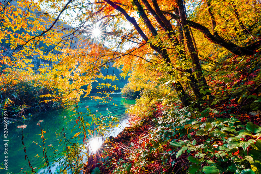 Adorable morning view of pure water river in Plitvice National Park. Splendid autumn scene of Croatia, Europe. Abandoned places of Plitvice lakes series. Beauty of nature concept background.