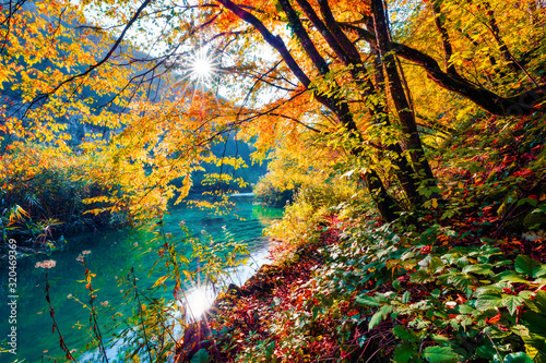 Adorable morning view of pure water river in Plitvice National Park. Splendid autumn scene of Croatia, Europe. Abandoned places of Plitvice lakes series. Beauty of nature concept background.