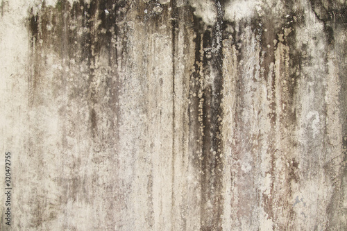 Abstract,Texture of old concrete wall,Grey Cement textured abstract background,old wall with lichen,Dirty white wall background close up moss texture on cement wall