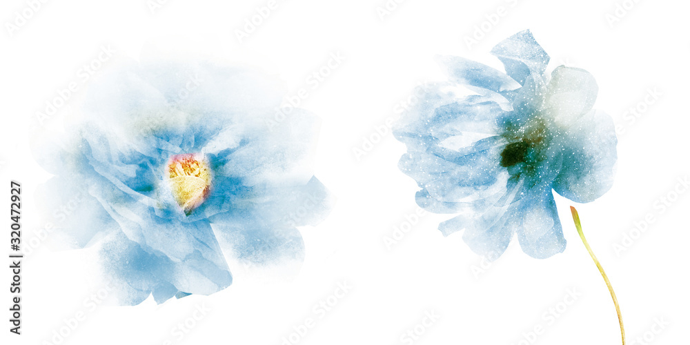 Fototapeta premium Watercolor flowers , isolated on white background