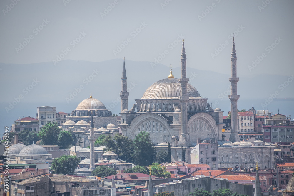 Naklejka premium Suleymaniye Mosque in Istambul, Turkey