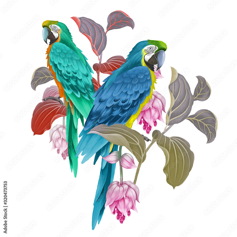 Fototapeta premium Macaw birds, flowers and leaves of exotic plant.