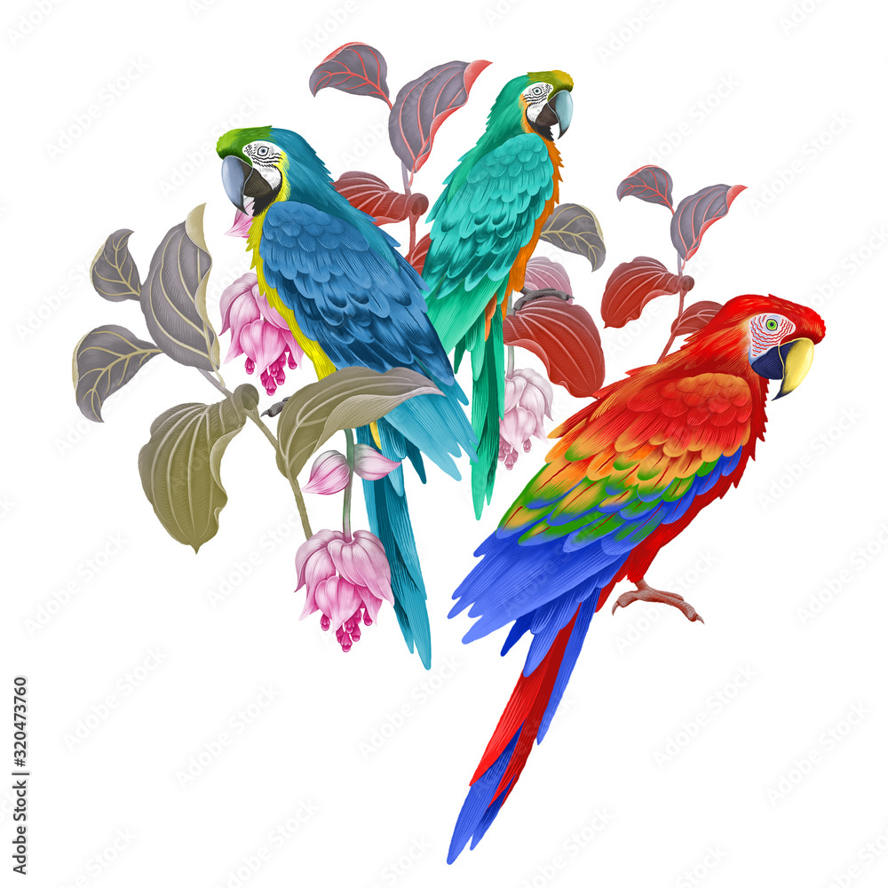 Obraz premium Macaw birds, flowers and leaves of exotic plant. Exotic floral decoration.