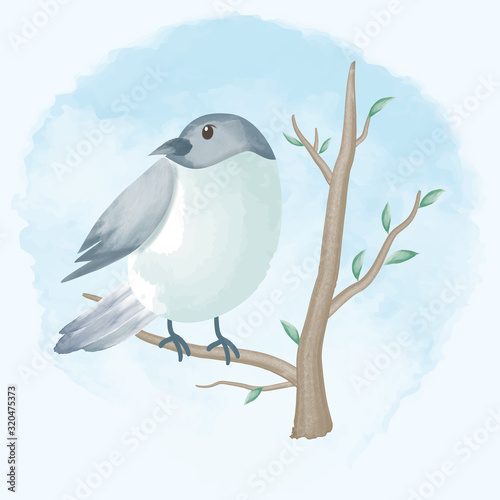 Cute bird hand drawn animal illustration watercolor background photo