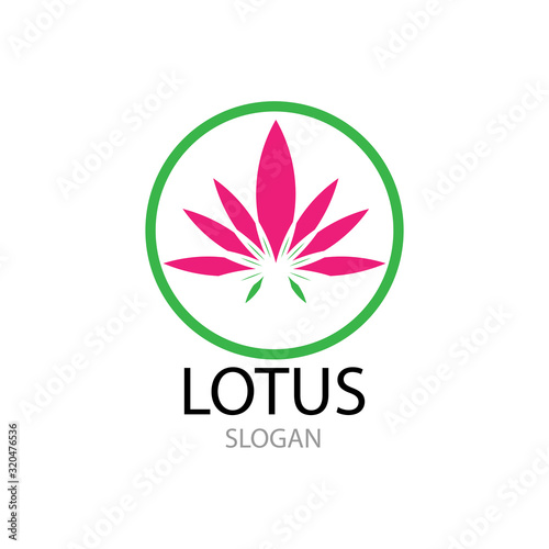 Fototapeta Naklejka Na Ścianę i Meble -  Beauty Vector Lotus flowers design logo Template icon