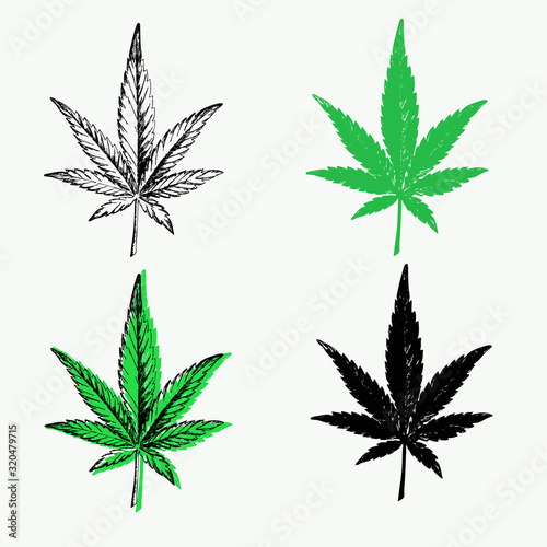 Cannabis leaves set: outline, green and black silhouette. CBD Cannabidiol marijuana icon, medical herbs. Hand-drawn hemp. Stock vector elements isolated on transparent background.
