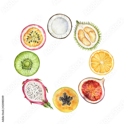 Watercolor vector hand painted frame of exotic fruits.