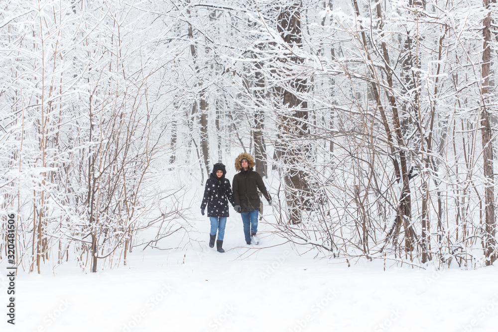 Young couple walking in a snowy park. Winter season.