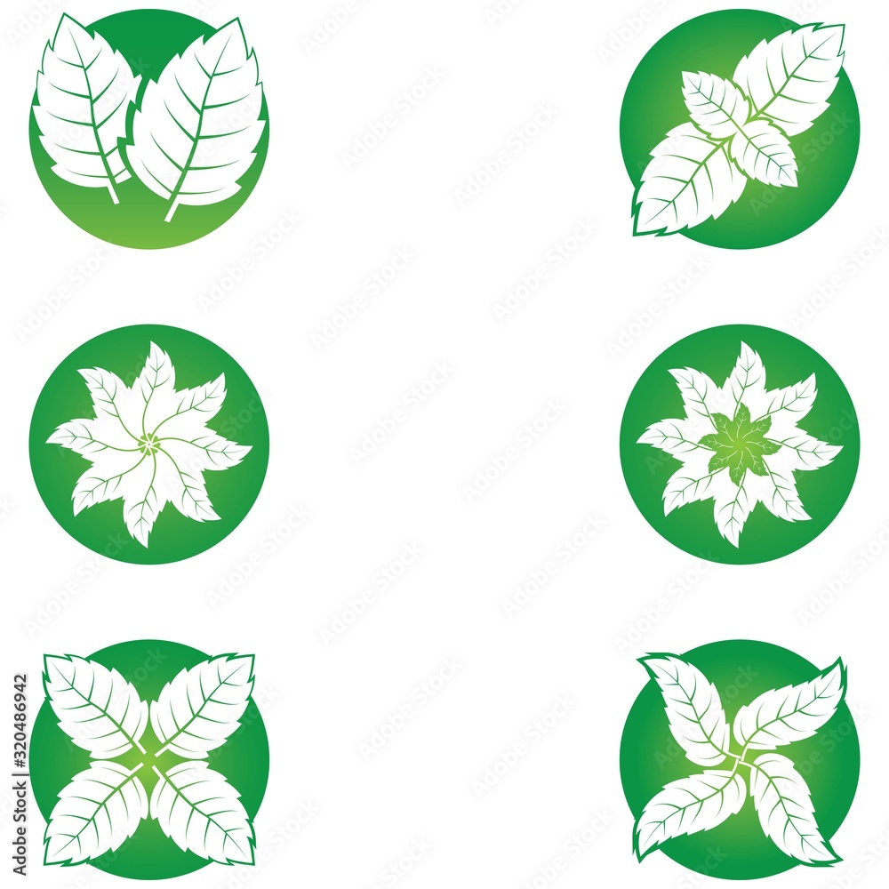 Set of vector illustration icon of mint leaves green with white background
