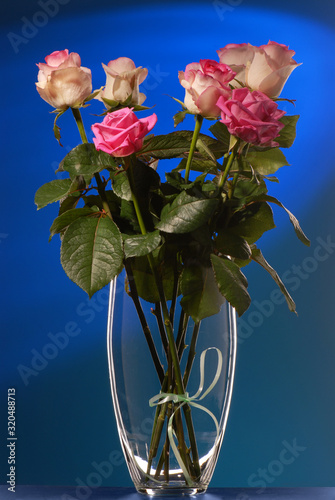 Bouquet of beautiful pink roses on a dark blue background