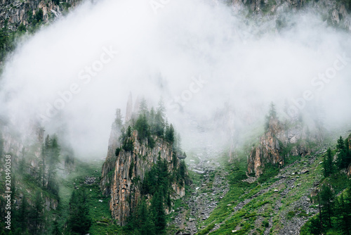 Sharp stones of rocky mountain with coniferous trees in dense fog. Low cloud near high rock with forest. Colorful foggy green landscape with rocks and trees in clouds. Steep slope with boulder streams