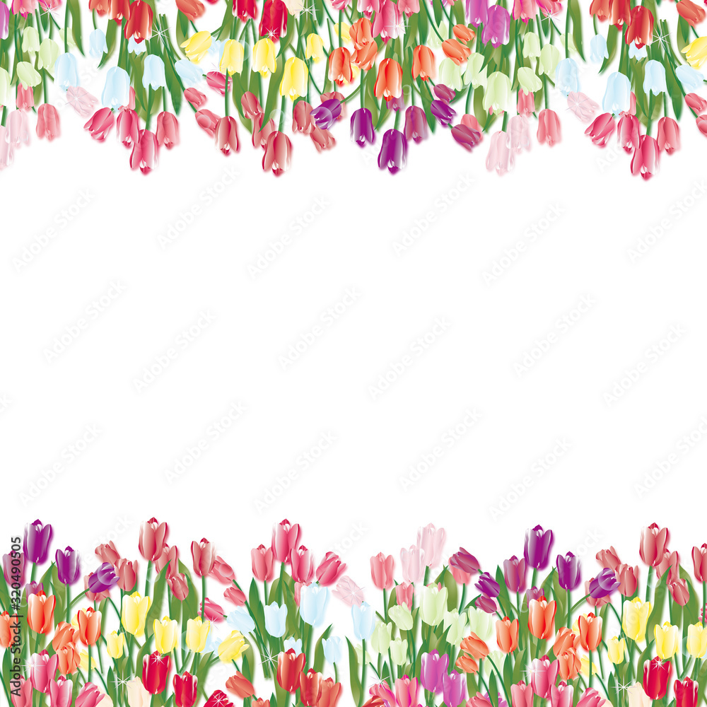 カラフルな春の花チューリップのイラストが一列に並んだ正方形背景素材 Stock Illustration Adobe Stock