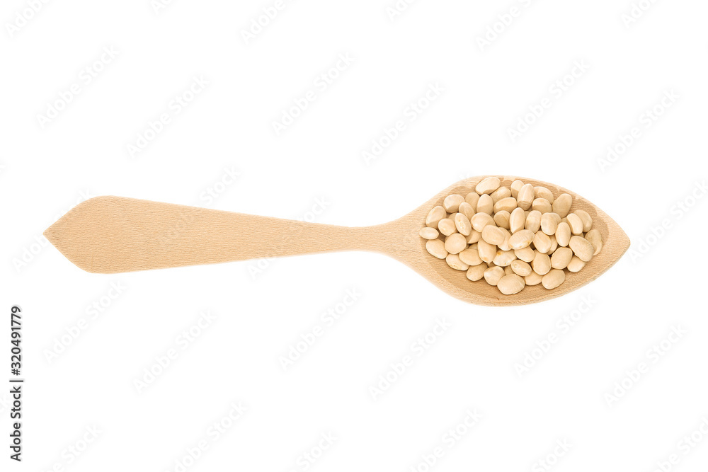 White beans of the Fessol de Santa Pau variety White beans of the Fessol de Santa Pau variety
