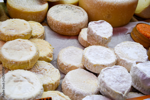 Many cheeses with white mold