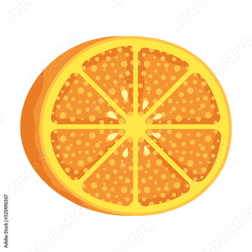 orange citrus fruit isolated icon