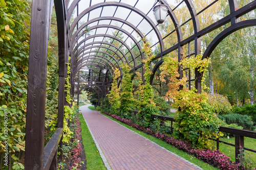 Wooden arched pergola in autumn park photo