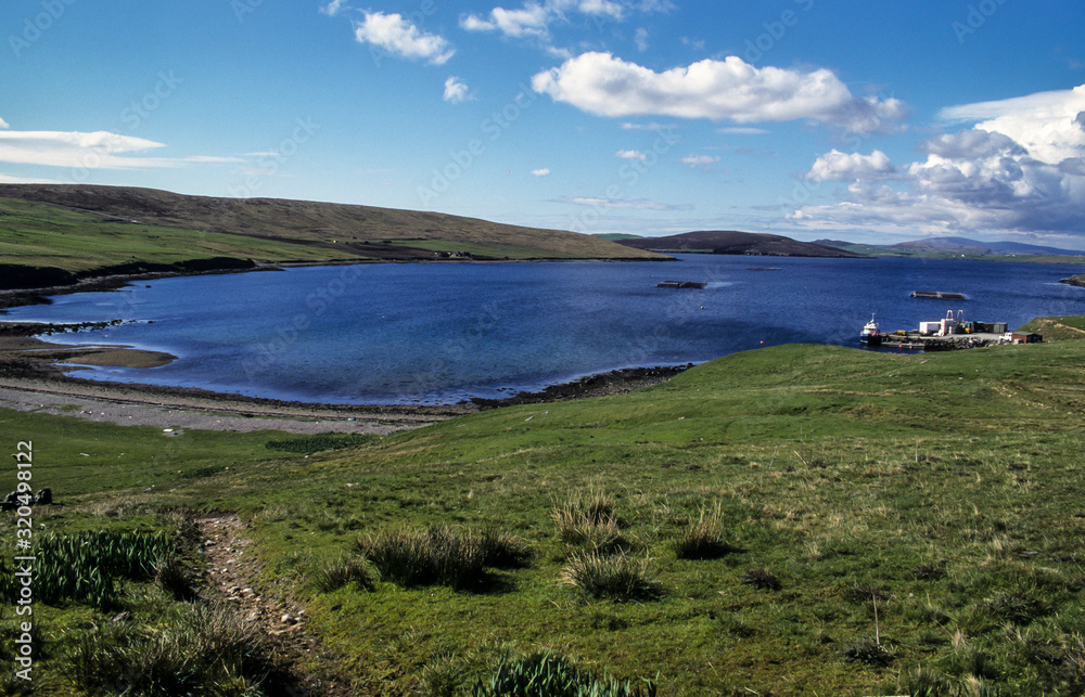 Réserve naturelle, Ile de Unst, Iles Shetland, Ecosse, Grande Bretagne