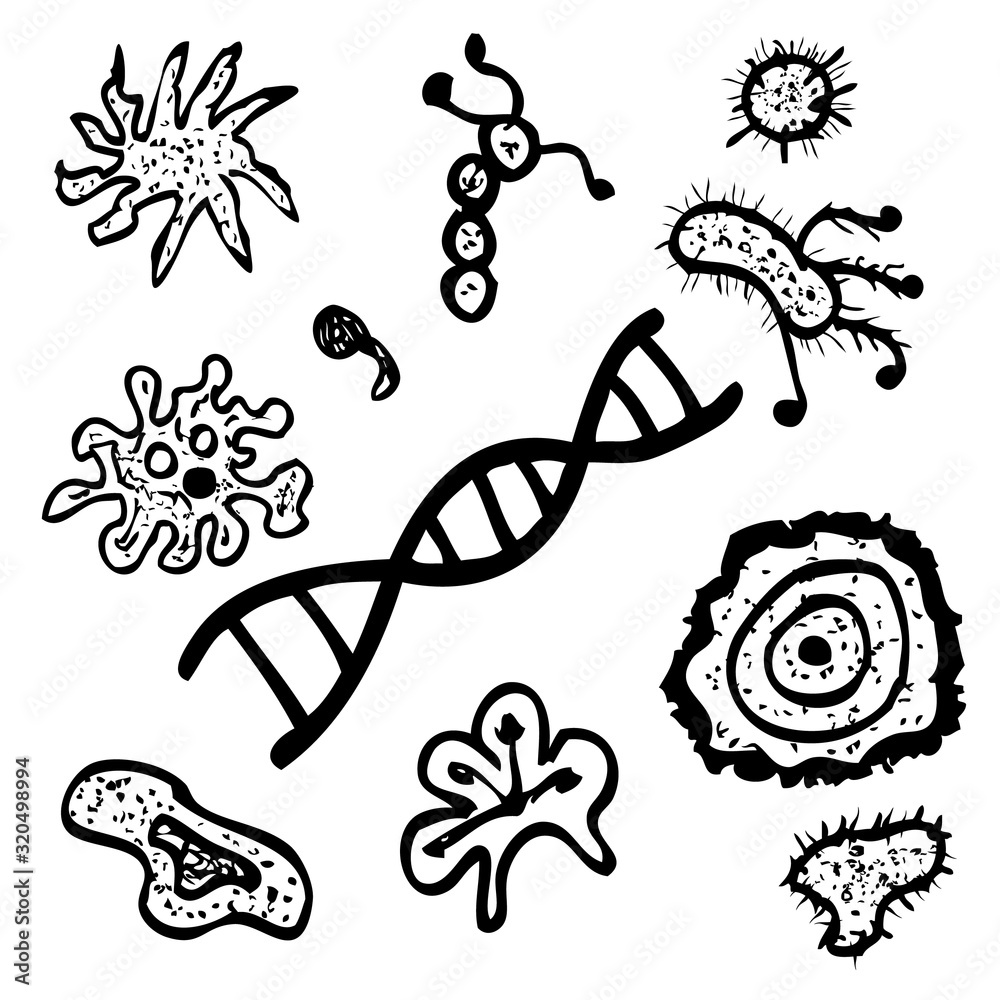 Vector, Hand Draw Sketch, Black Outline Various Shape of Virus Spora