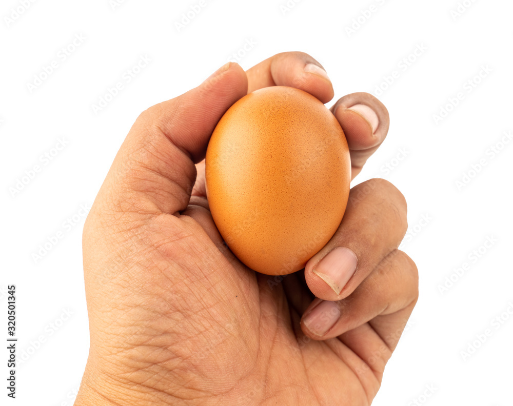 Man's hand holding an egg, isolated on white background. Man's hand holding an egg, isolated on white background.