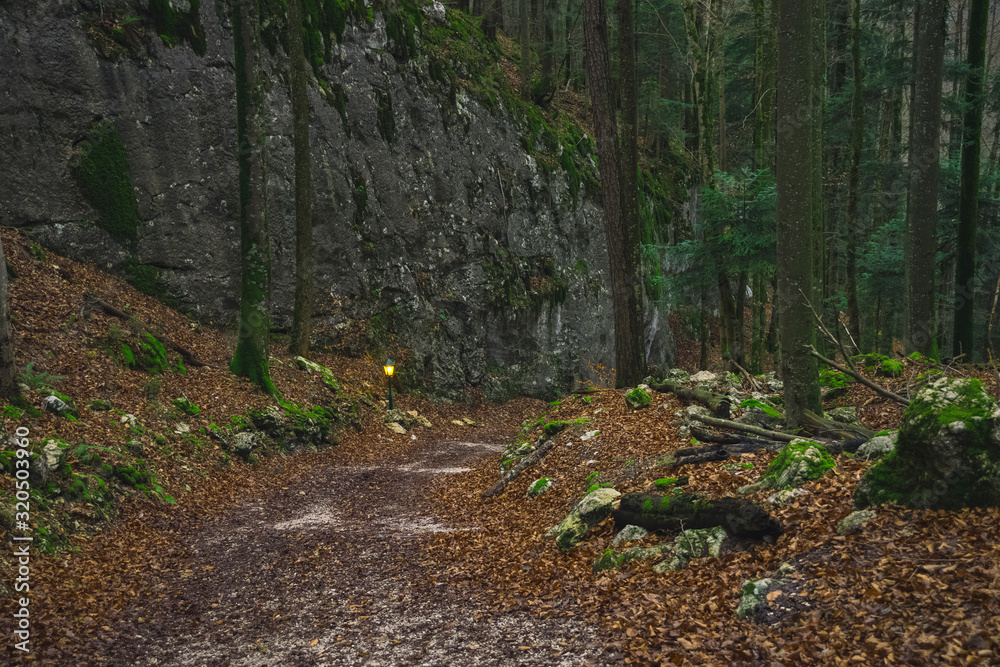 moody twilight mountain forest highland wood land scenery nature environment with lantern yellow illumination near trail
