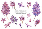 Watercolor set with spring flowers of lilac violet