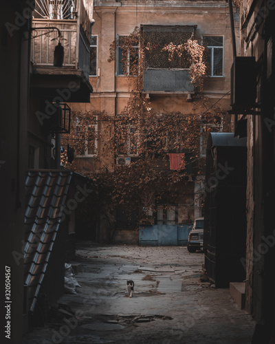 Photography yards of Odessa