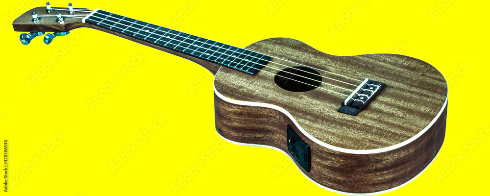 hawaiian guitar