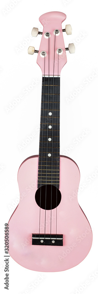 Obraz premium hawaiian guitar