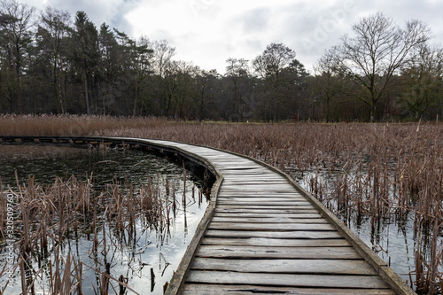 Kelchterhoef park which is a wonderful family-friendly walking park located in Wijers, Limburg, Belgum photo