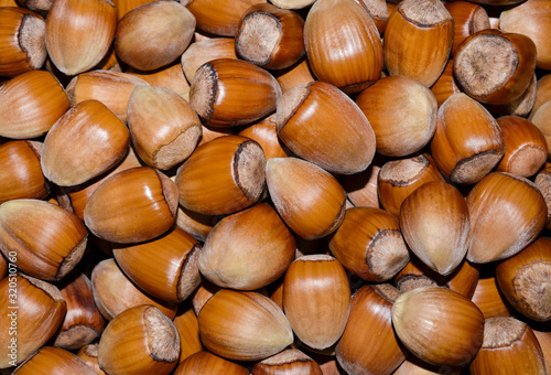 Hazelnuts background