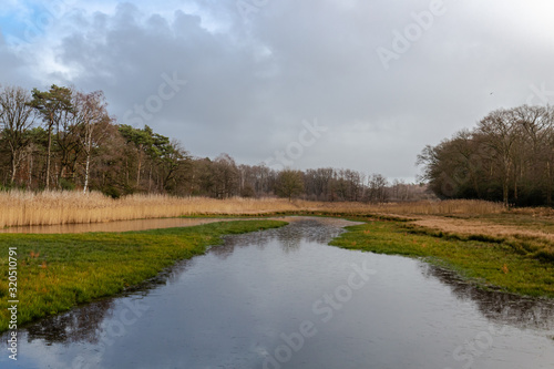 Kelchterhoef park which is a wonderful family-friendly walking park located in Wijers, Limburg, Belgum photo