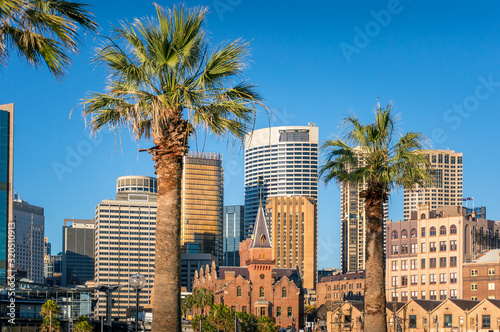 Modern cityscape skyline with skyscrapers and historic buildings with palm trees © Olga K