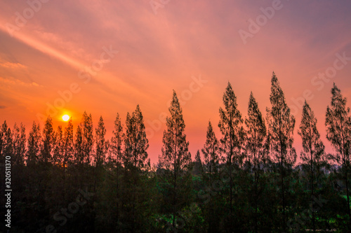 The natural blurred background of the twilight light of the evening in the sky in the pine trees or mountains  the beauty of the weather during the day
