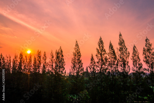 The natural blurred background of the twilight light of the evening in the sky in the pine trees or mountains, the beauty of the weather during the day