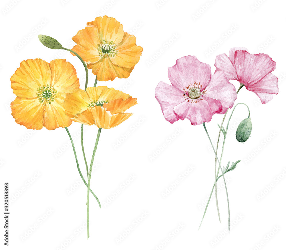 Beautiful bouquet composition with watercolor yellow poppy flowers. Stock illustration.