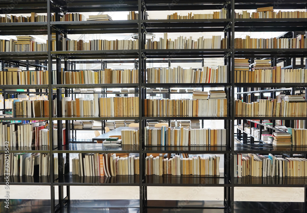 Fototapeta premium modern book library